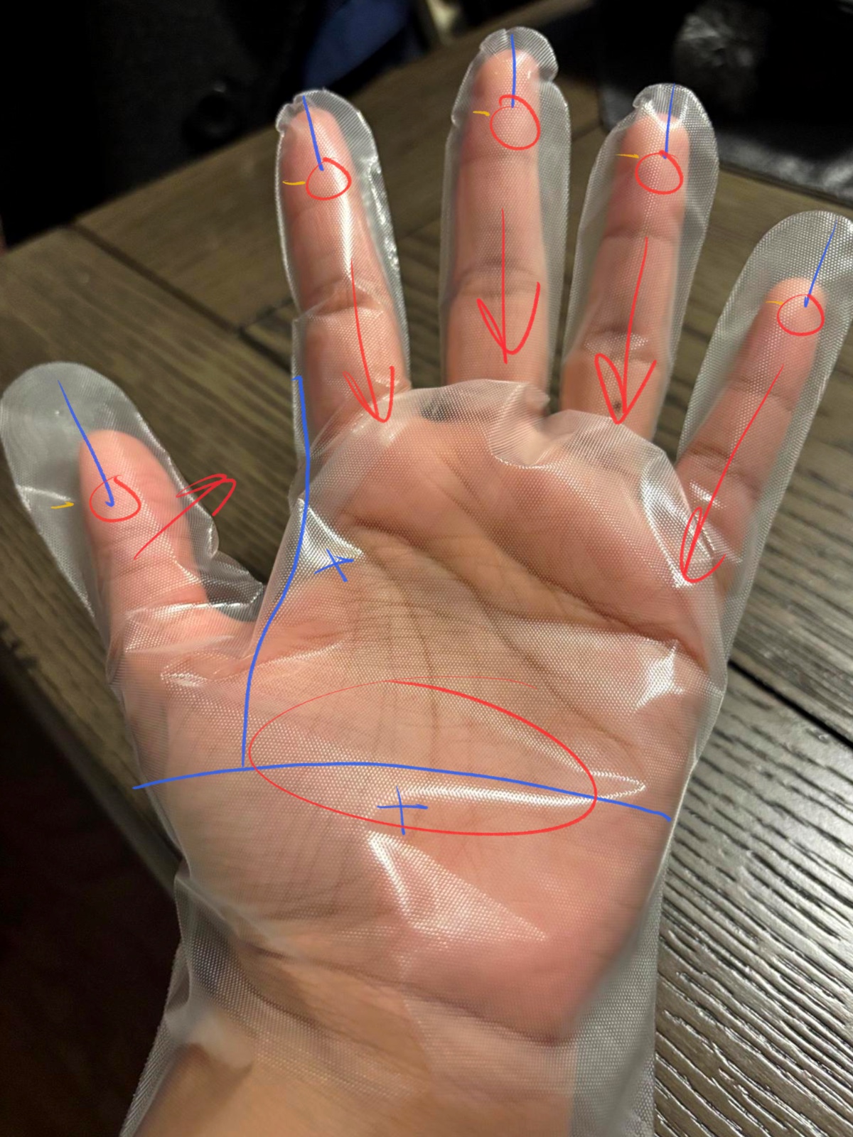 Glove Circuit Sketch