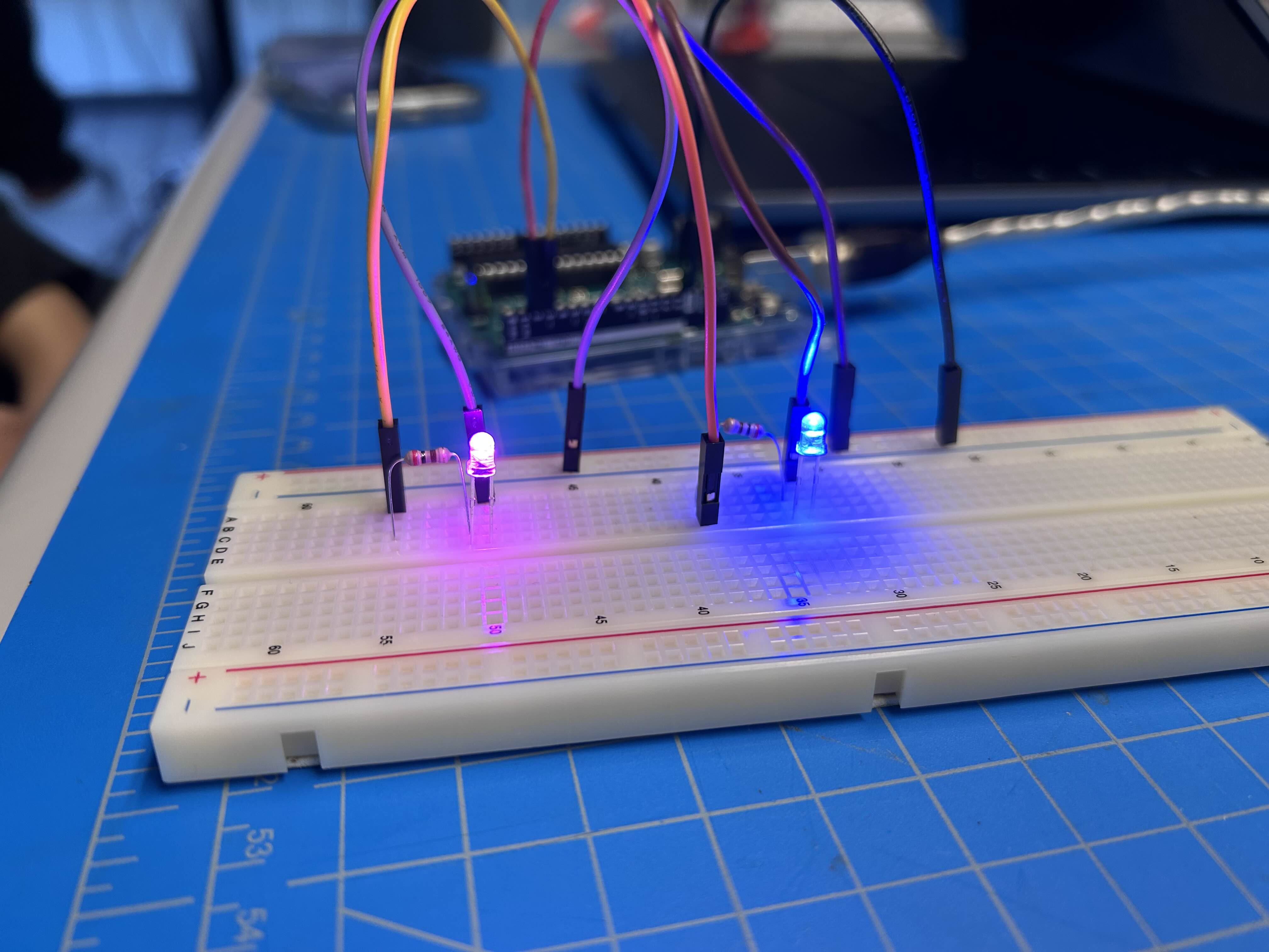 Two LEDs in Breadboard with Resistors